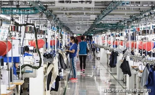 参观红岭集团,学习红岭互联网工业4.0模式